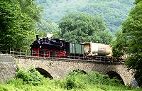 99 5901 mit einem Güterzug auf dem Tönissteiner Viadukt